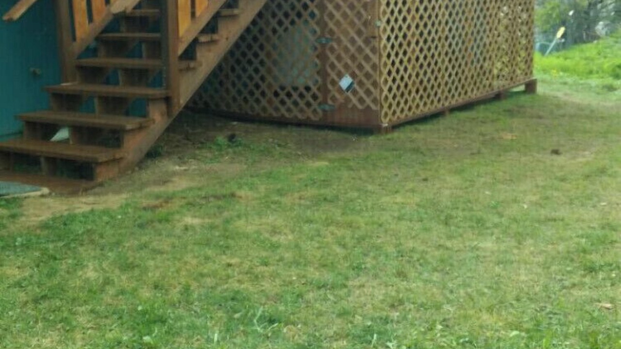 Photo of Outdoor in Homer