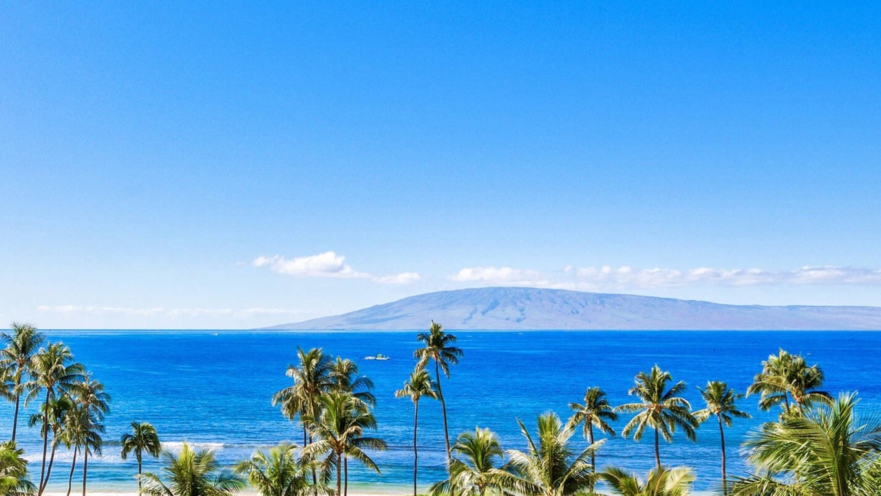 Photo of Others in Kihei