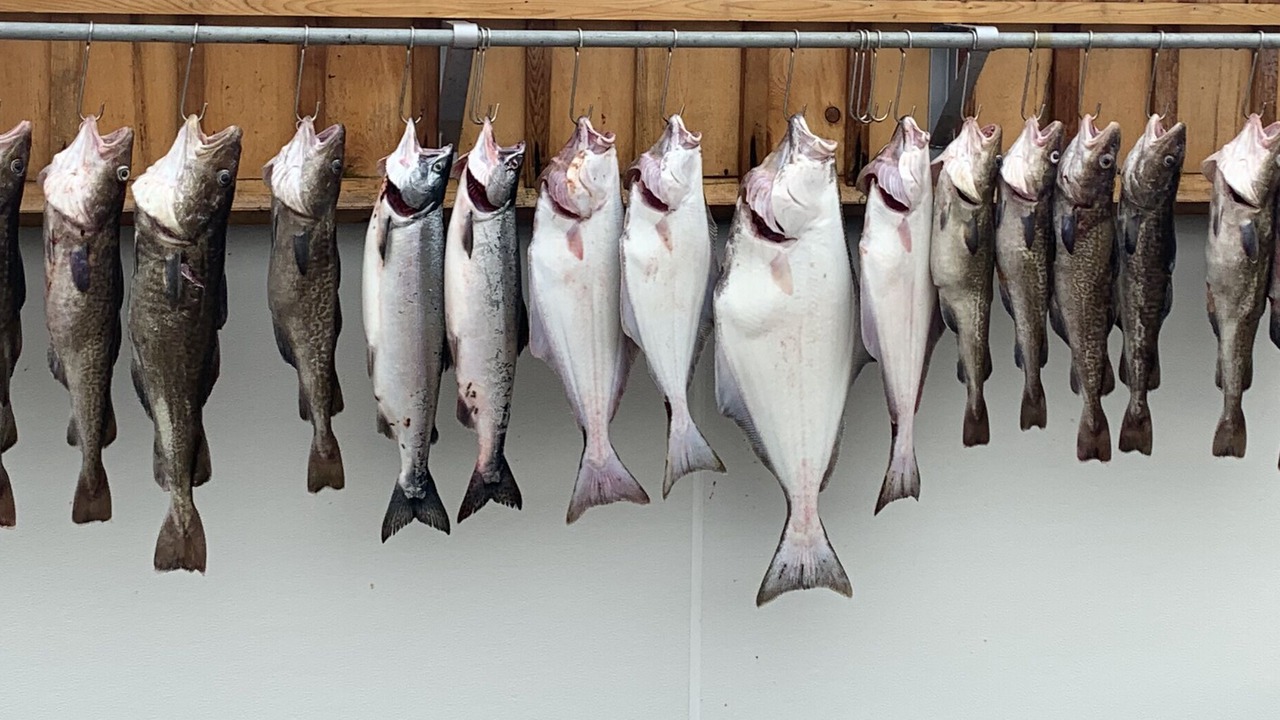Photo of Others in Ketchikan
