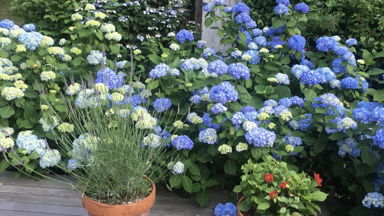 Photo of Outdoor in Block Island