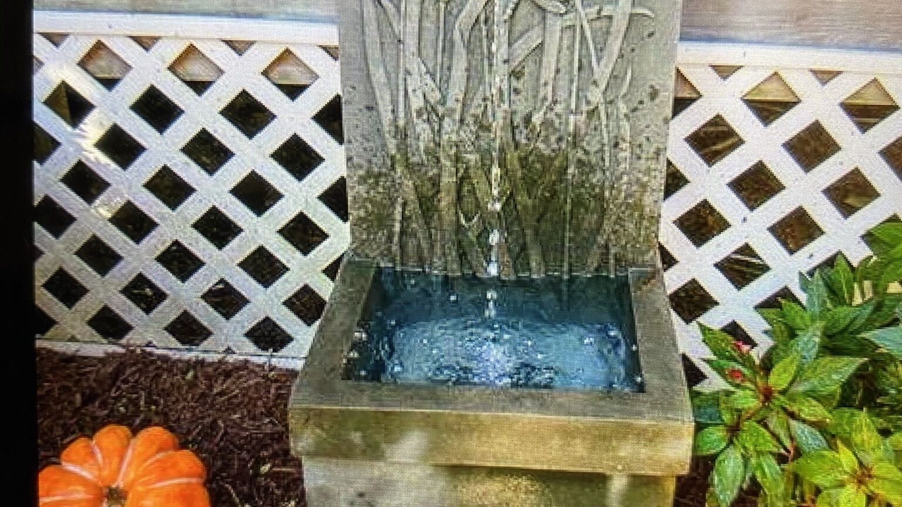 Photo of Outdoor in Dewey Beach