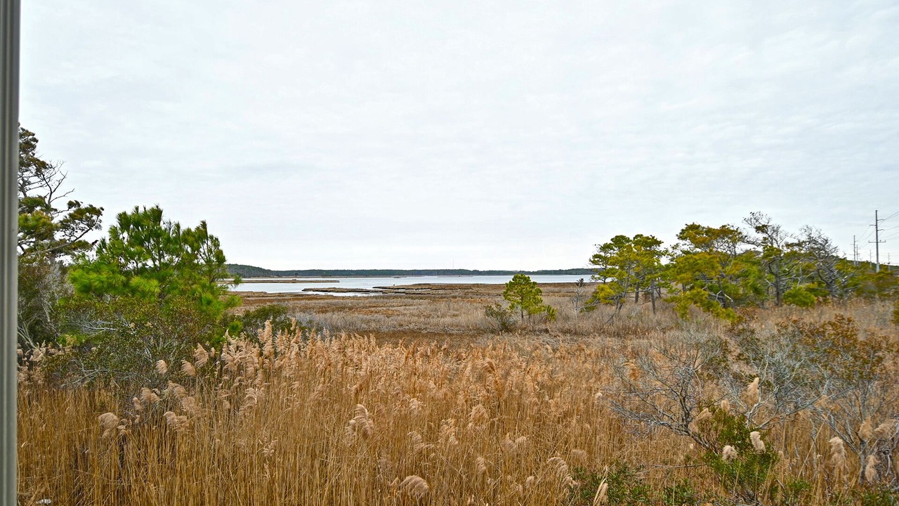 Photo of Others in Fenwick Island