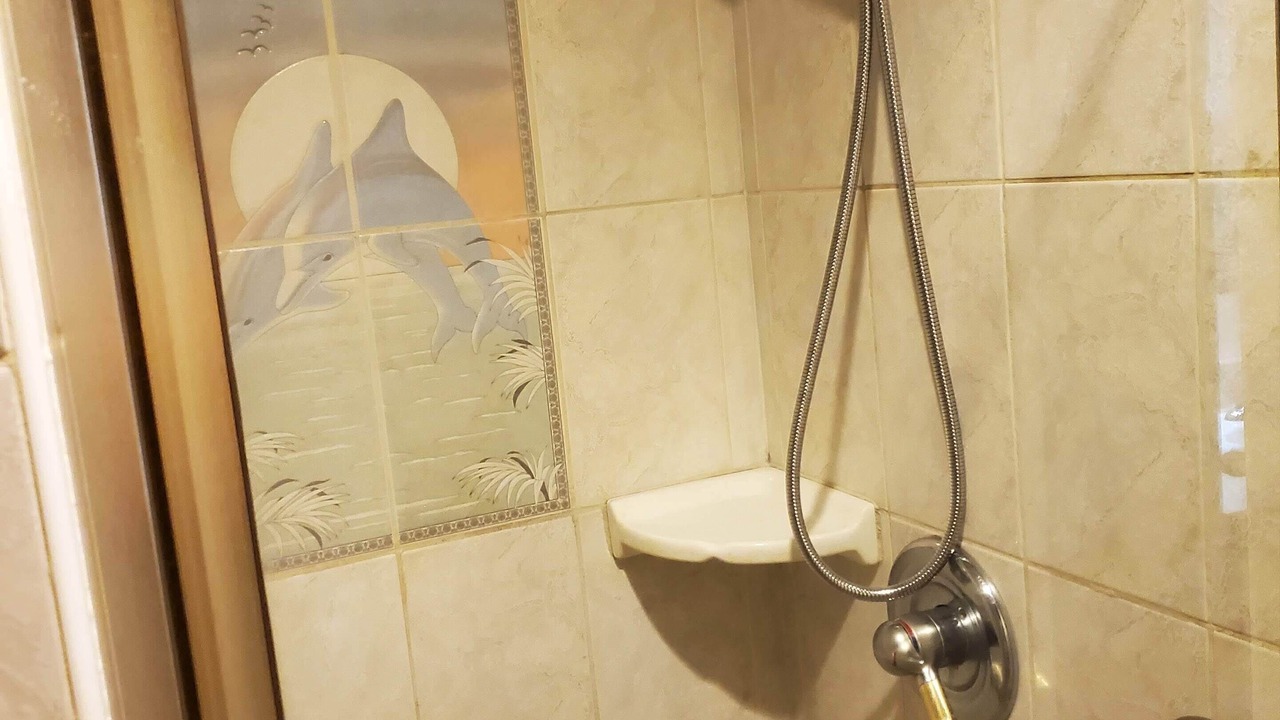 Photo of Bathroom in Maunaloa