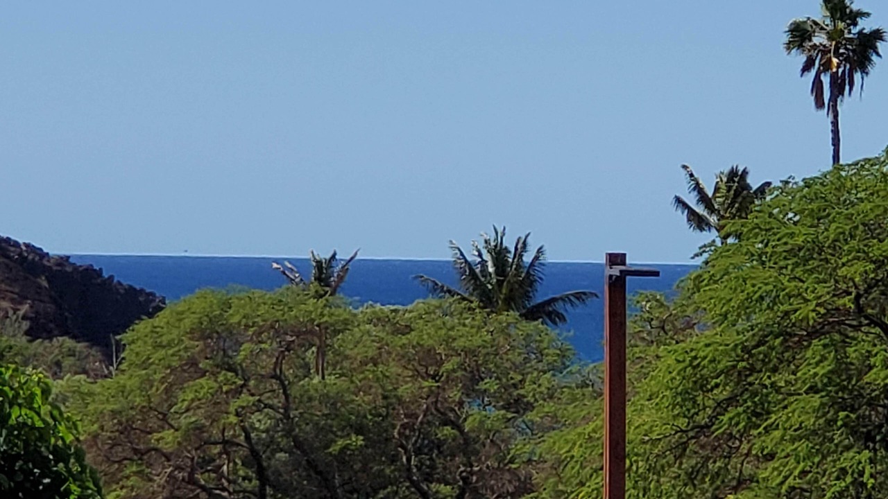 Photo of Others in Maunaloa