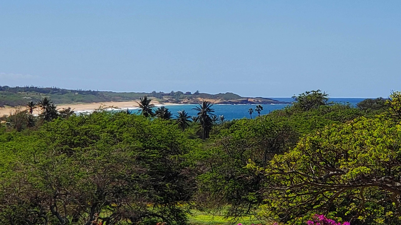 Photo of Others in Maunaloa
