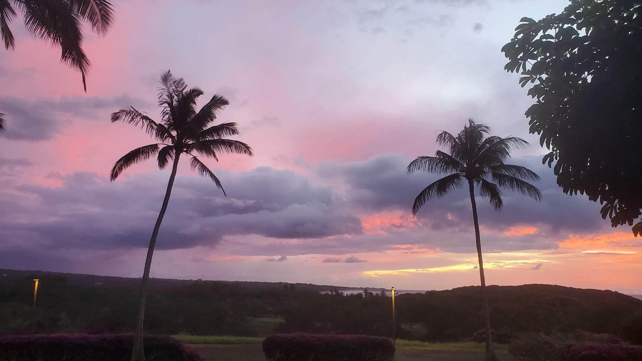 Photo of Others in Maunaloa