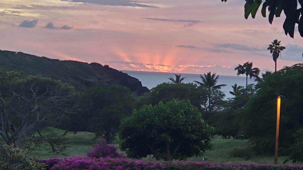 Photo of Others in Maunaloa