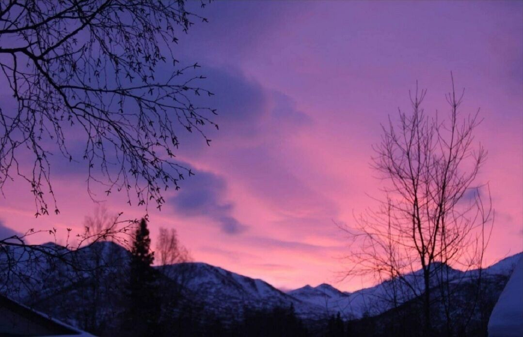 Photo of Others in Scenic Foothills