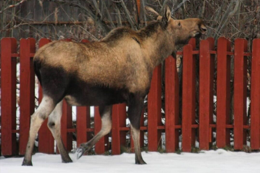 Photo of Others in Scenic Foothills