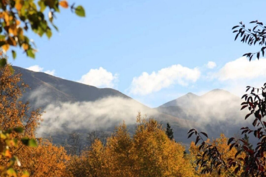 Photo of Others in Scenic Foothills