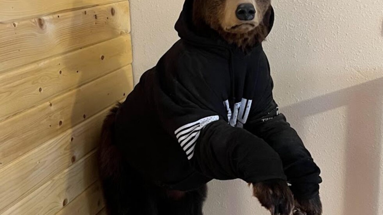 Photo of Others in Knik-Fairview