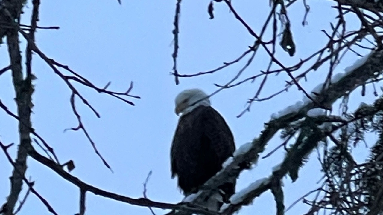 Photo of Outdoor in Stratton