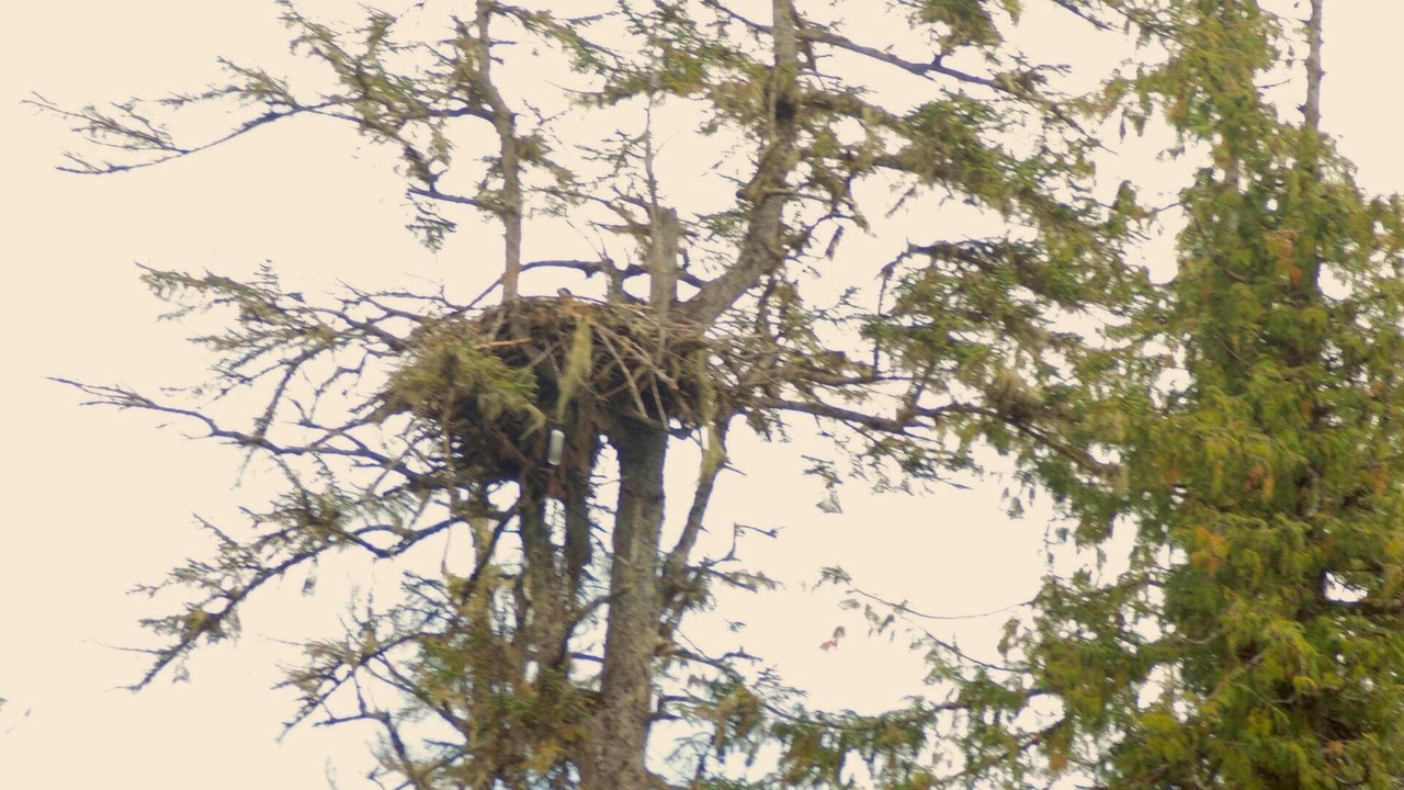 Photo of Others in Juneau