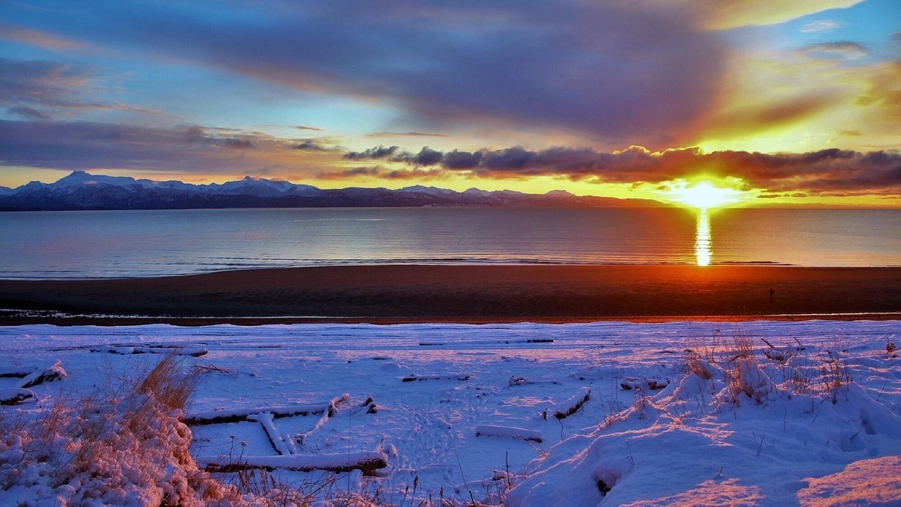 Photo of Others in Homer