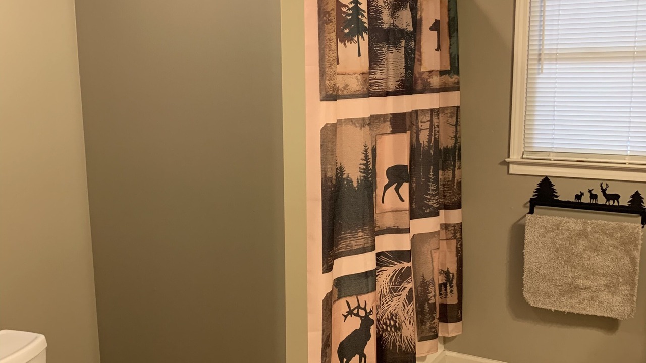 Photo of Bathroom in Ellijay