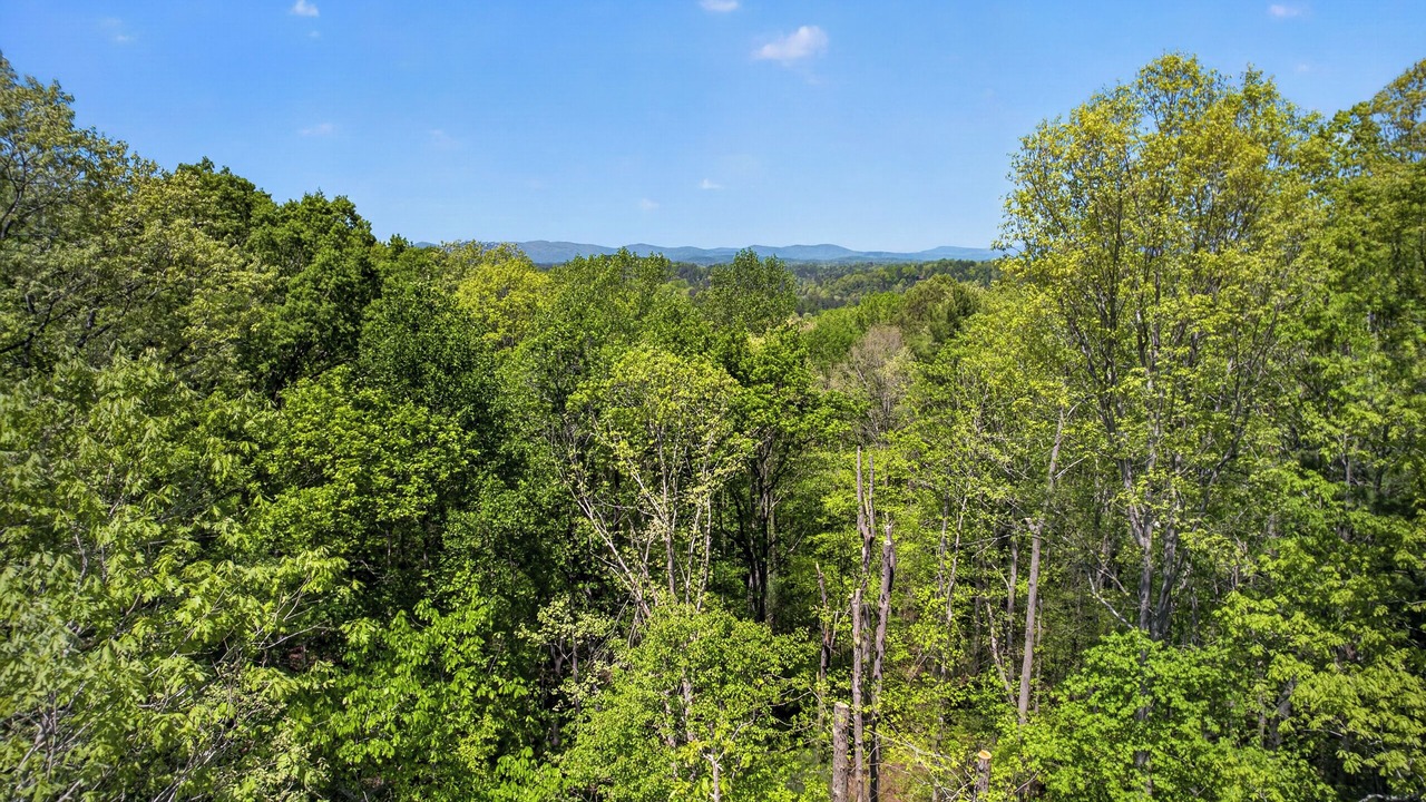 Photo of Others in Ellijay