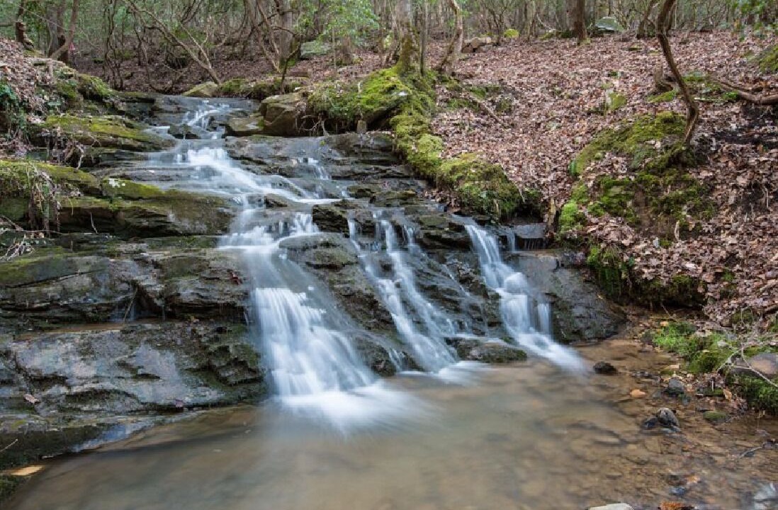 Photo of Others in Madisonville