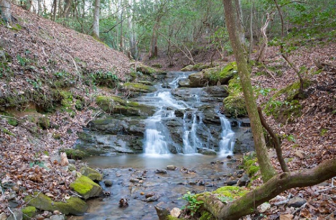 Photo of Outdoor in Madisonville