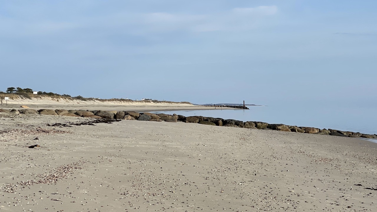 Photo of Others in Northwest Harwich
