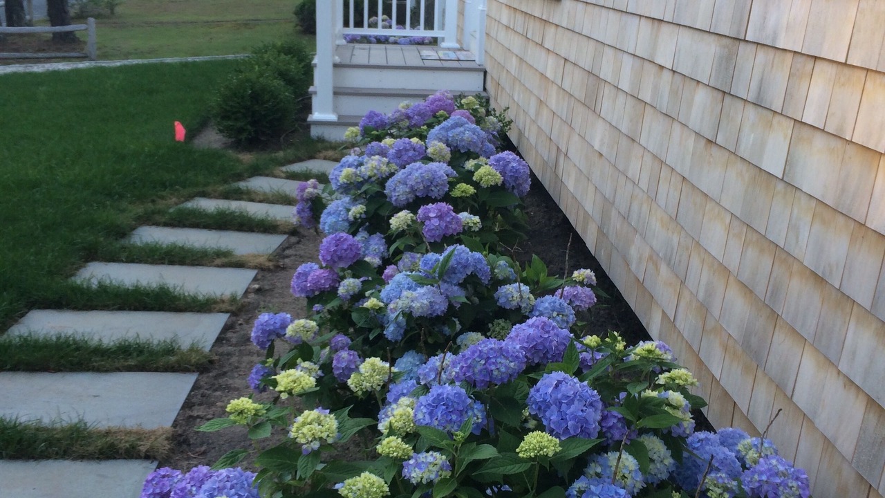 Photo of Outdoor in Northwest Harwich