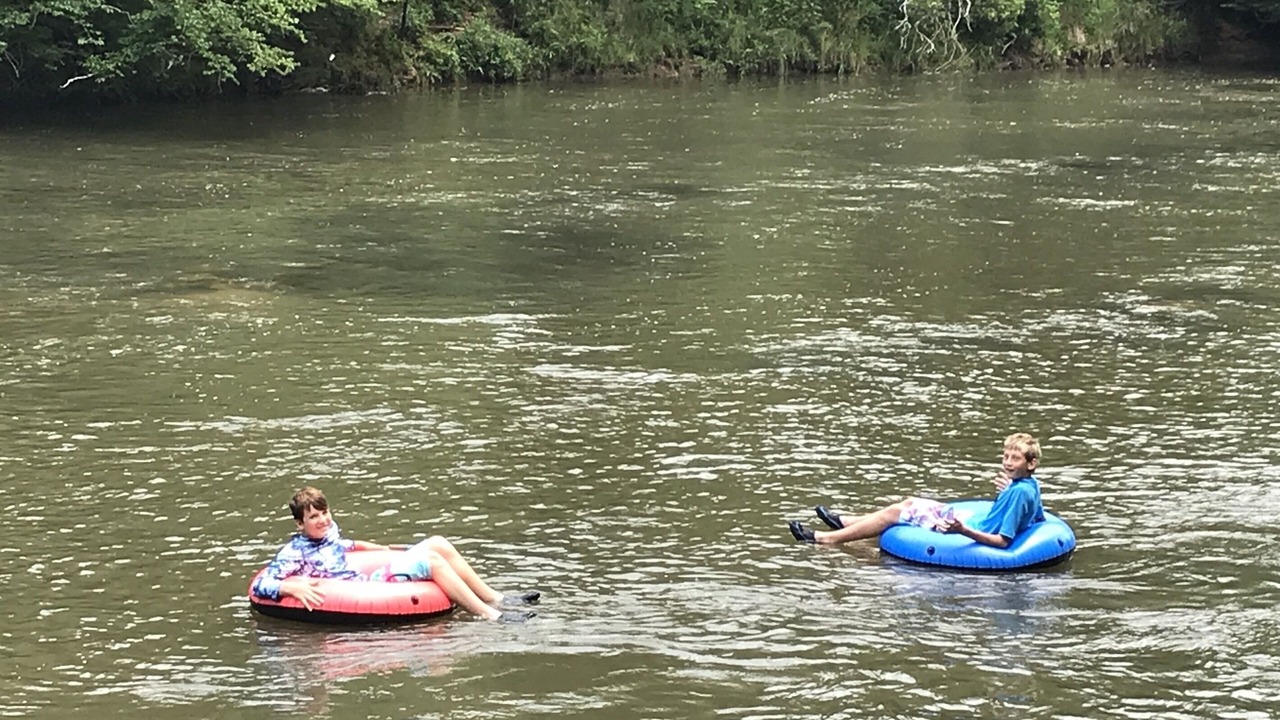 Photo of Others in Ellijay