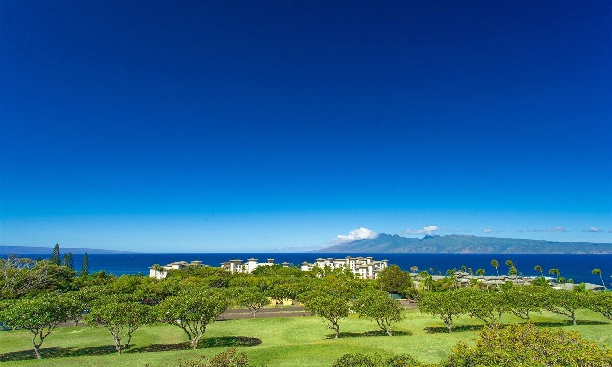 Photo of Others in Napili