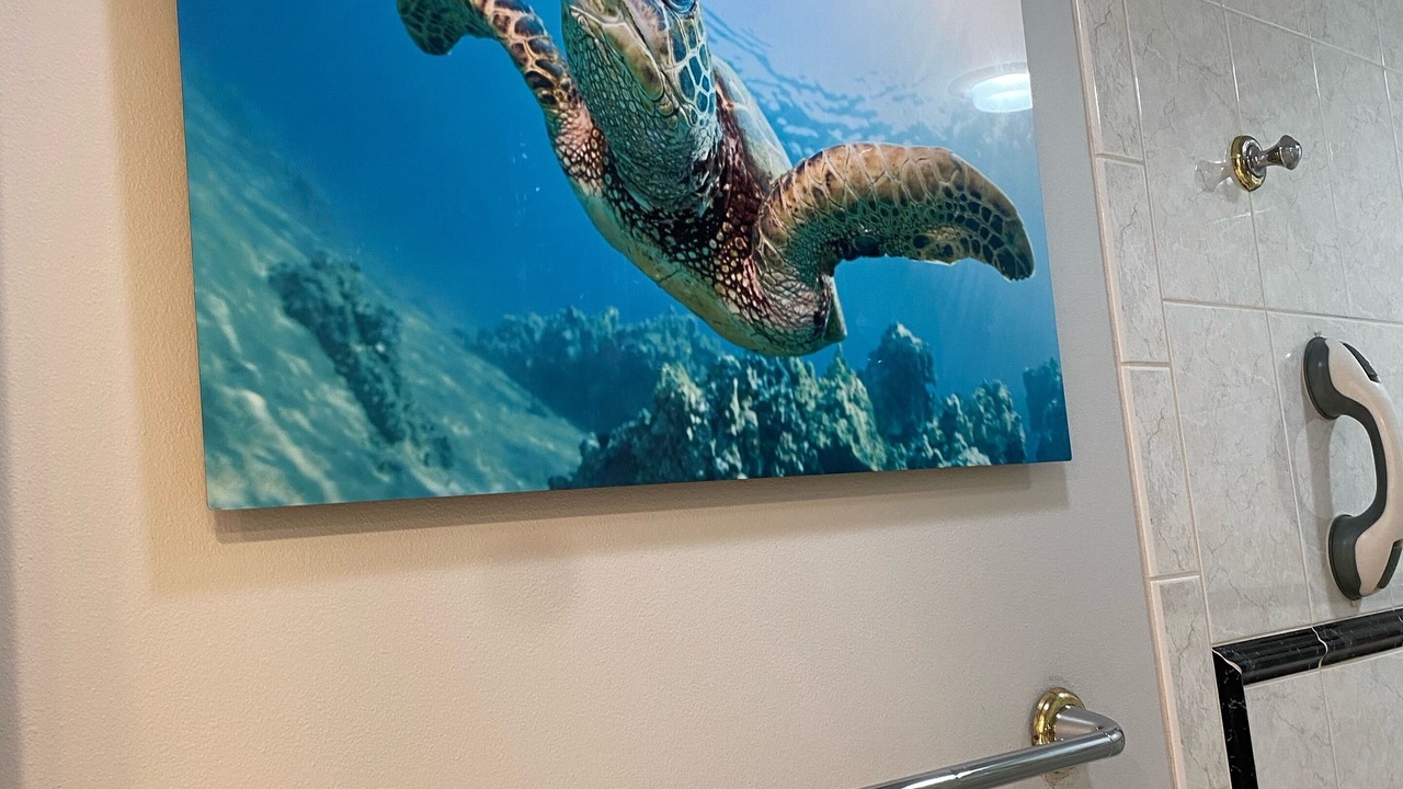 Photo of Others in Kaanapali