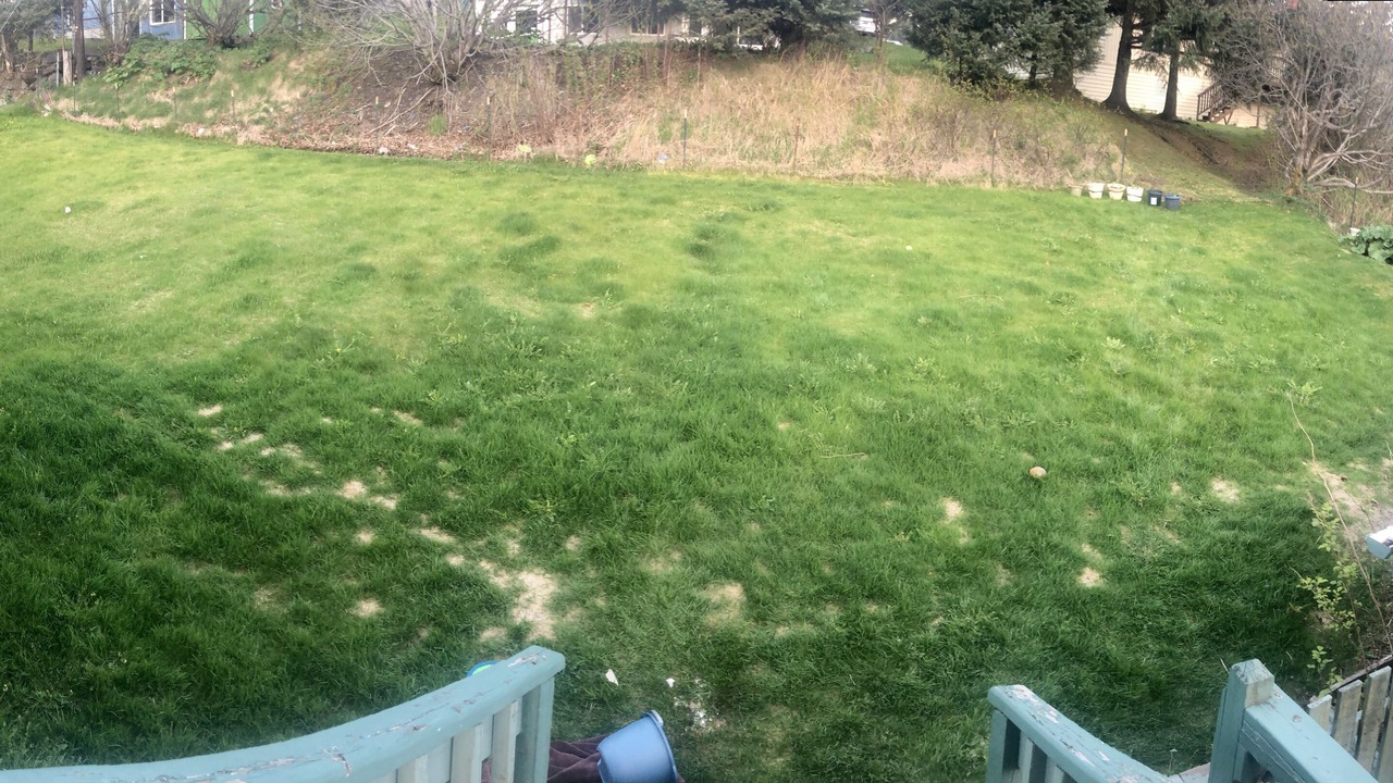 Photo of Outdoor in Kodiak