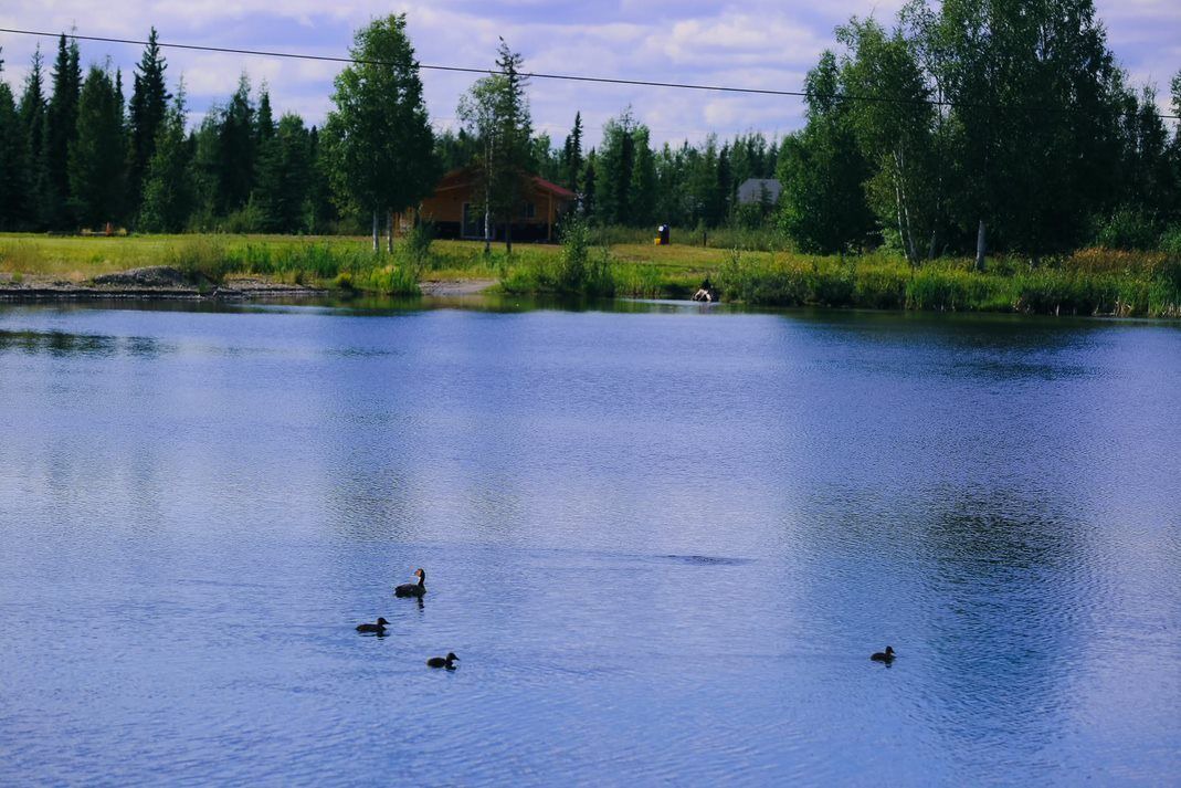 Photo of Outdoor in Badger