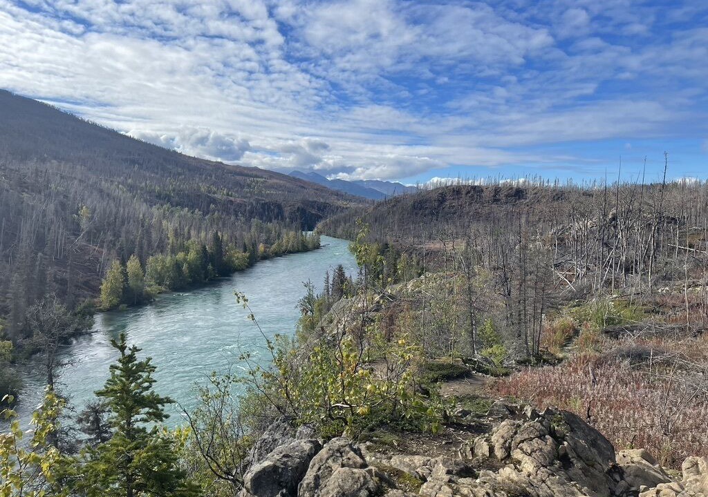 Photo of Outdoor in Cooper Landing