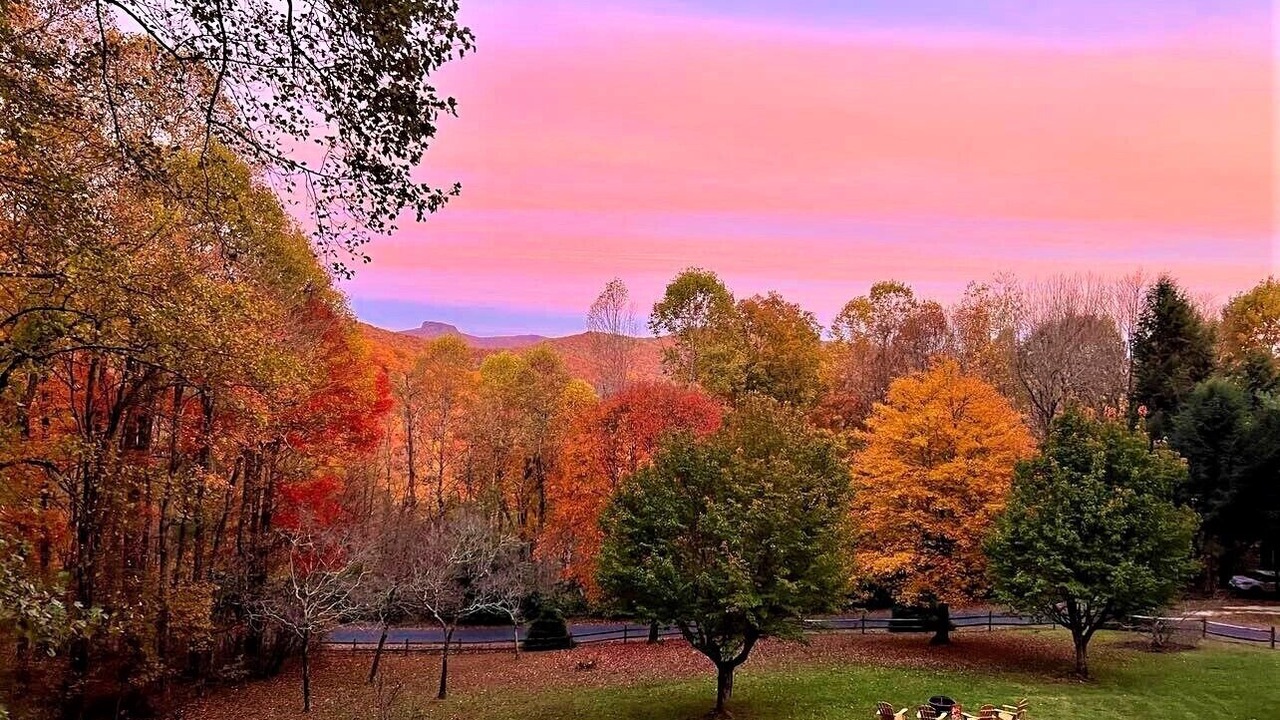 Photo of Others in Spruce Pine
