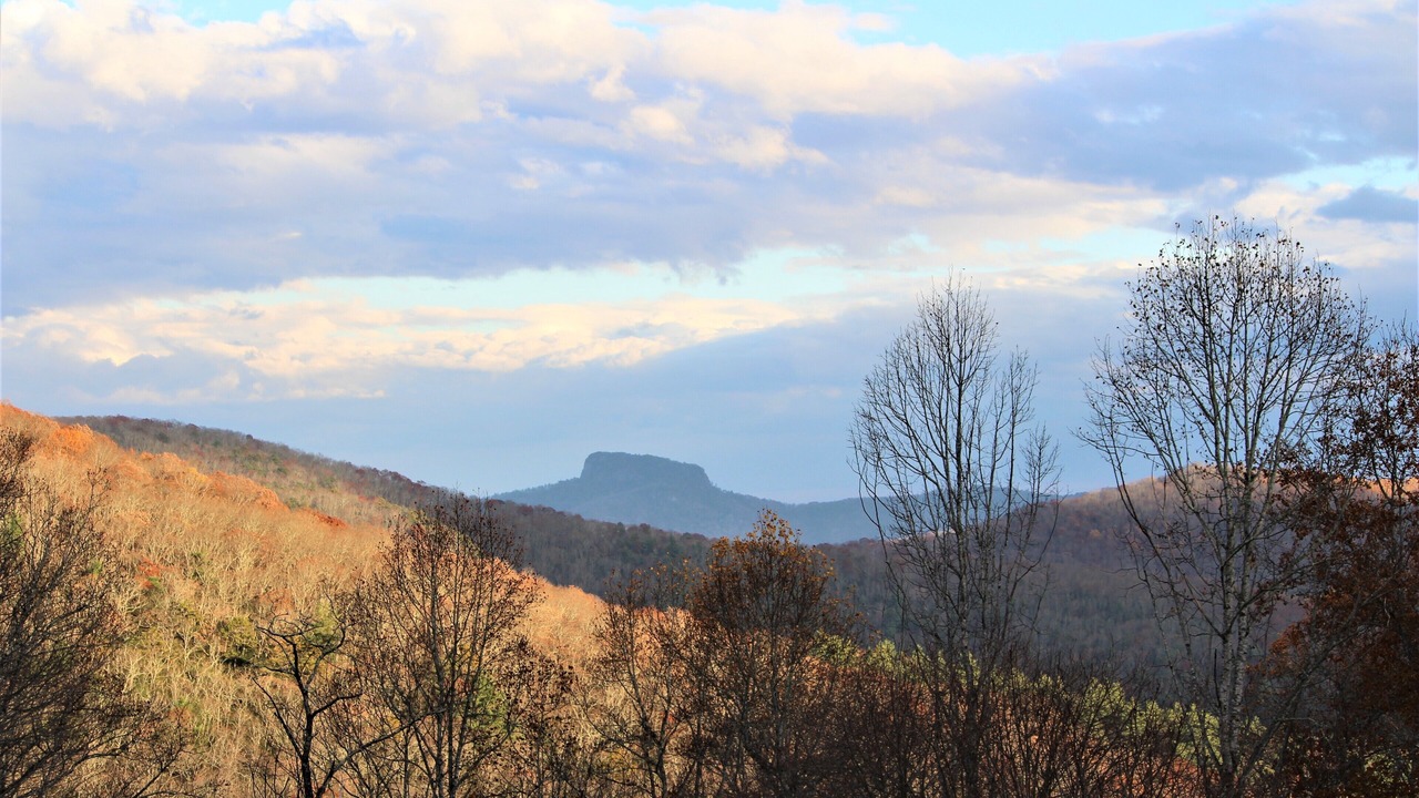 Photo of Others in Spruce Pine