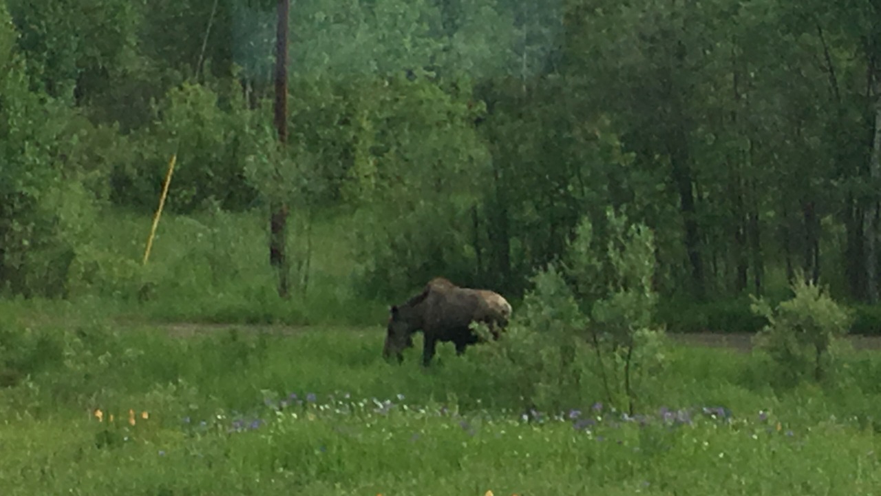 Photo of Outdoor in Badger