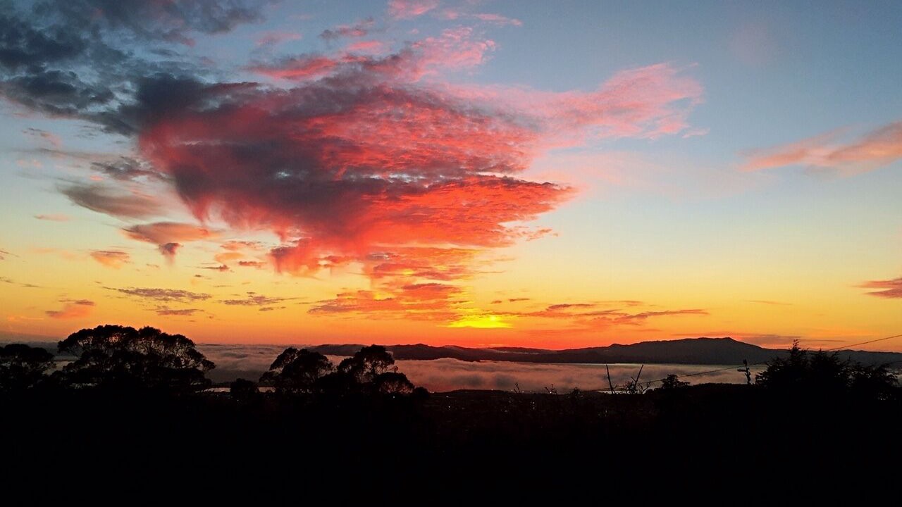 Photo of Outdoor in Berkeley Hills
