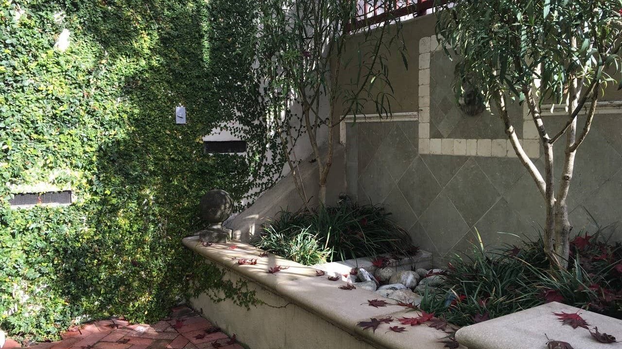 Photo of Others in Upper Rockridge
