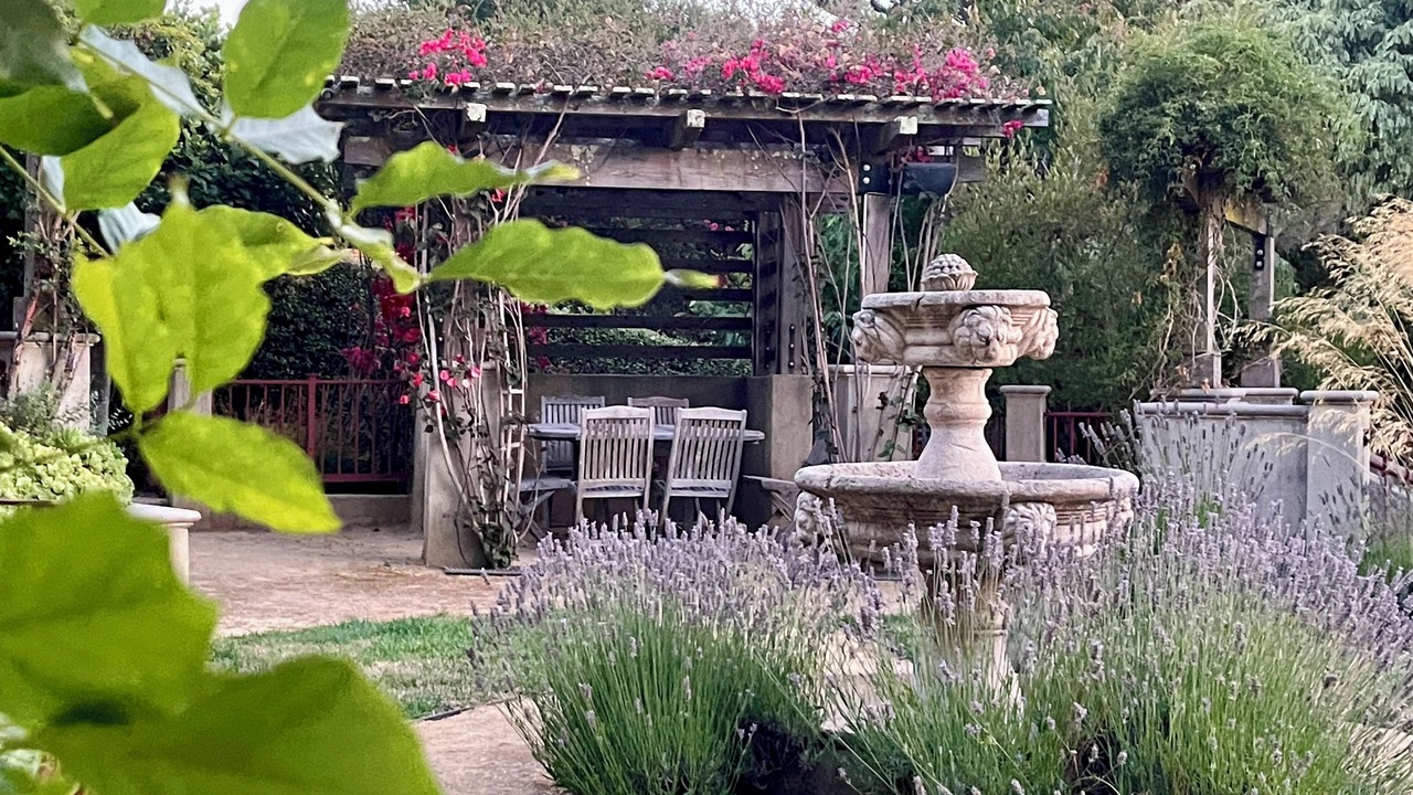 Photo of Outdoor in Upper Rockridge
