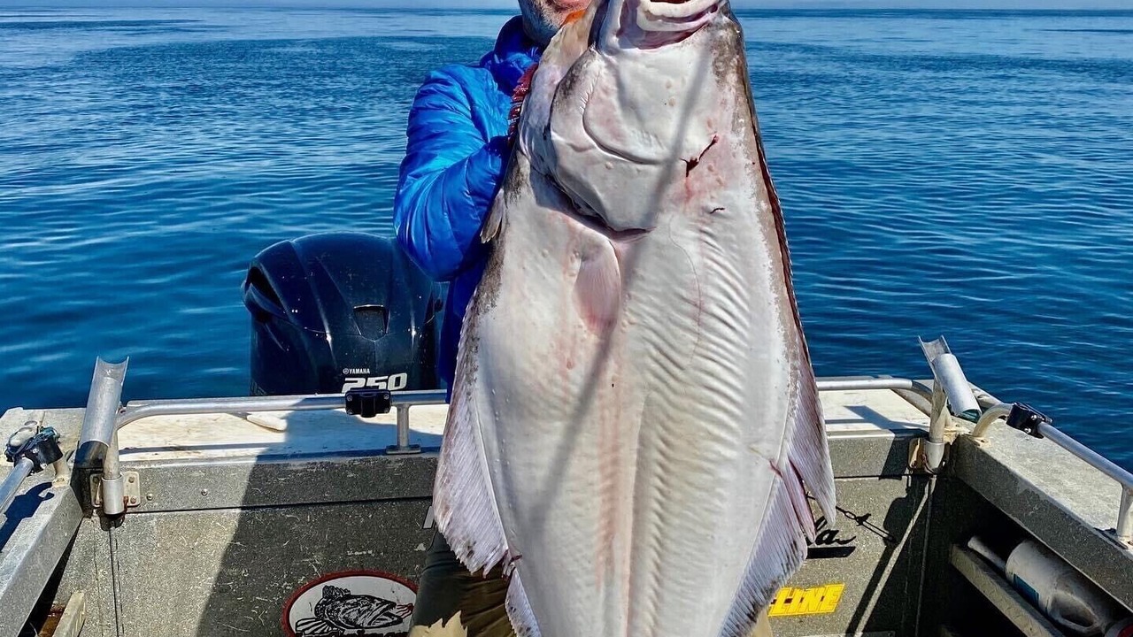 Photo of Others in Kenai