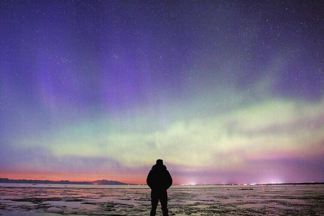 Photo of Others in Kenai