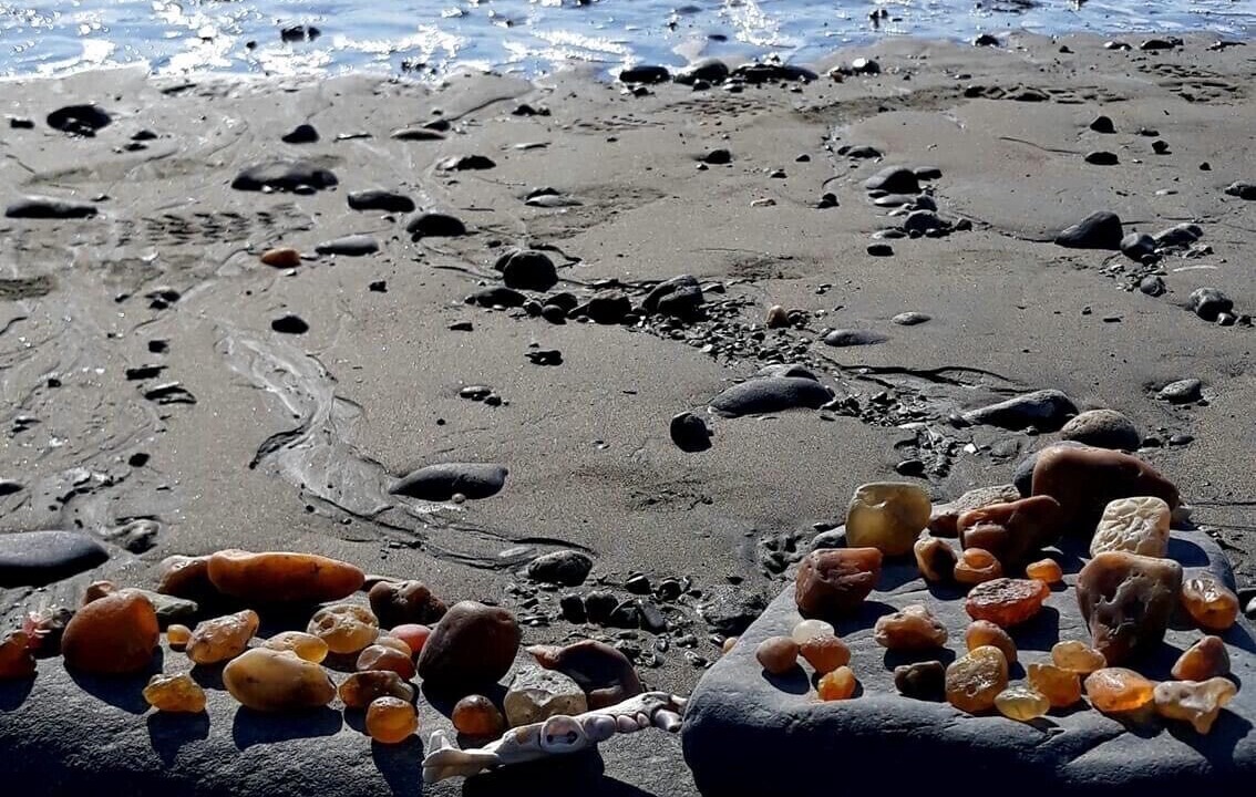 Photo of Others in Kenai