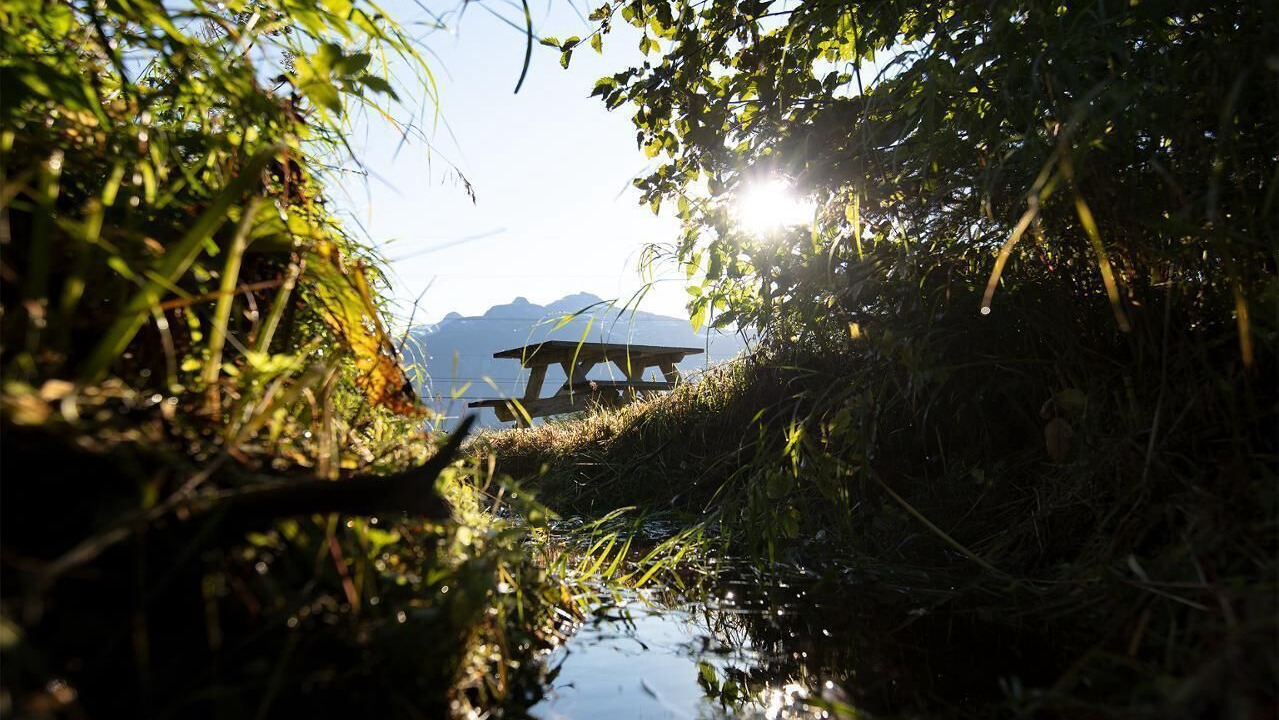 Photo of Outdoor in Haines