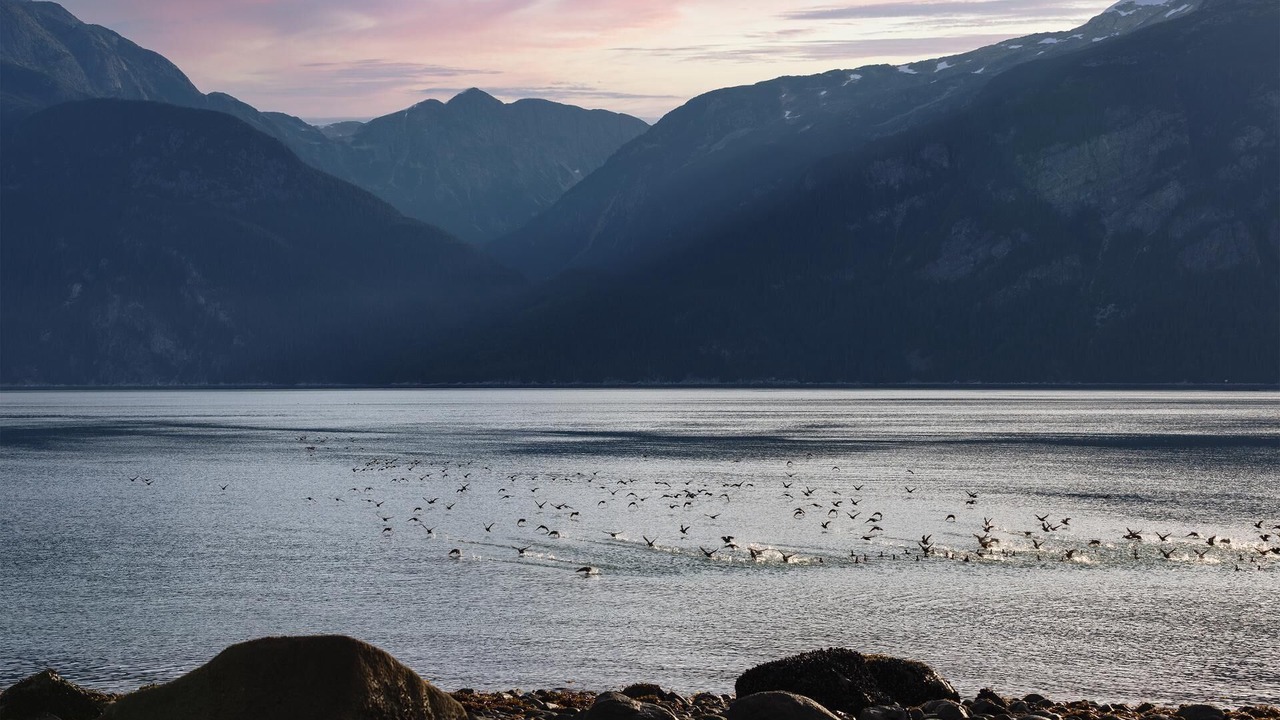 Photo of Others in Haines