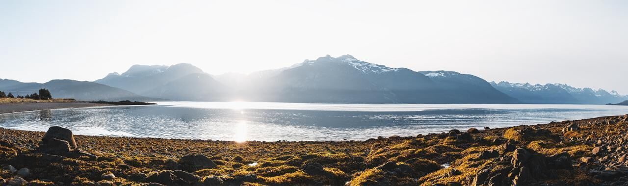 Photo of Others in Haines