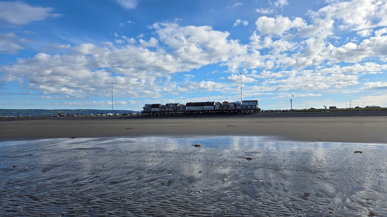 Photo of Others in Homer
