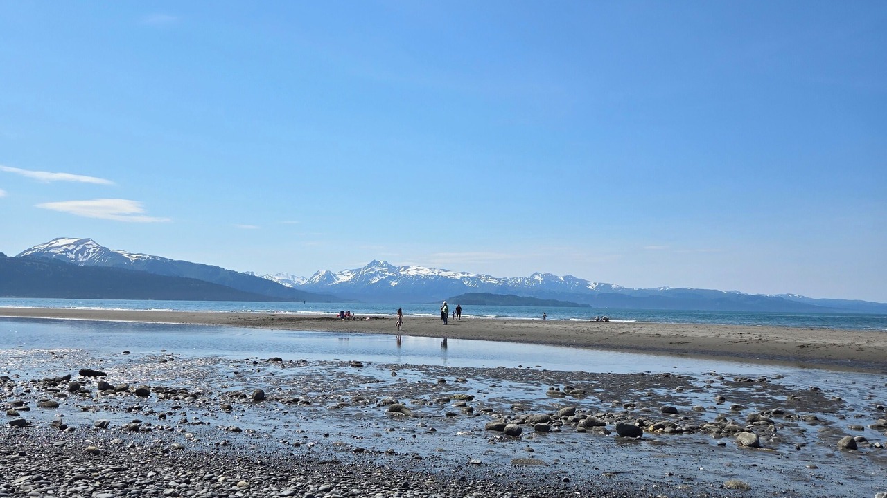 Photo of Others in Homer