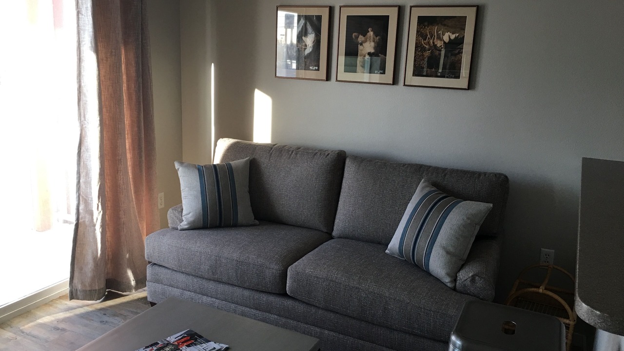 Photo of Livingroom in College
