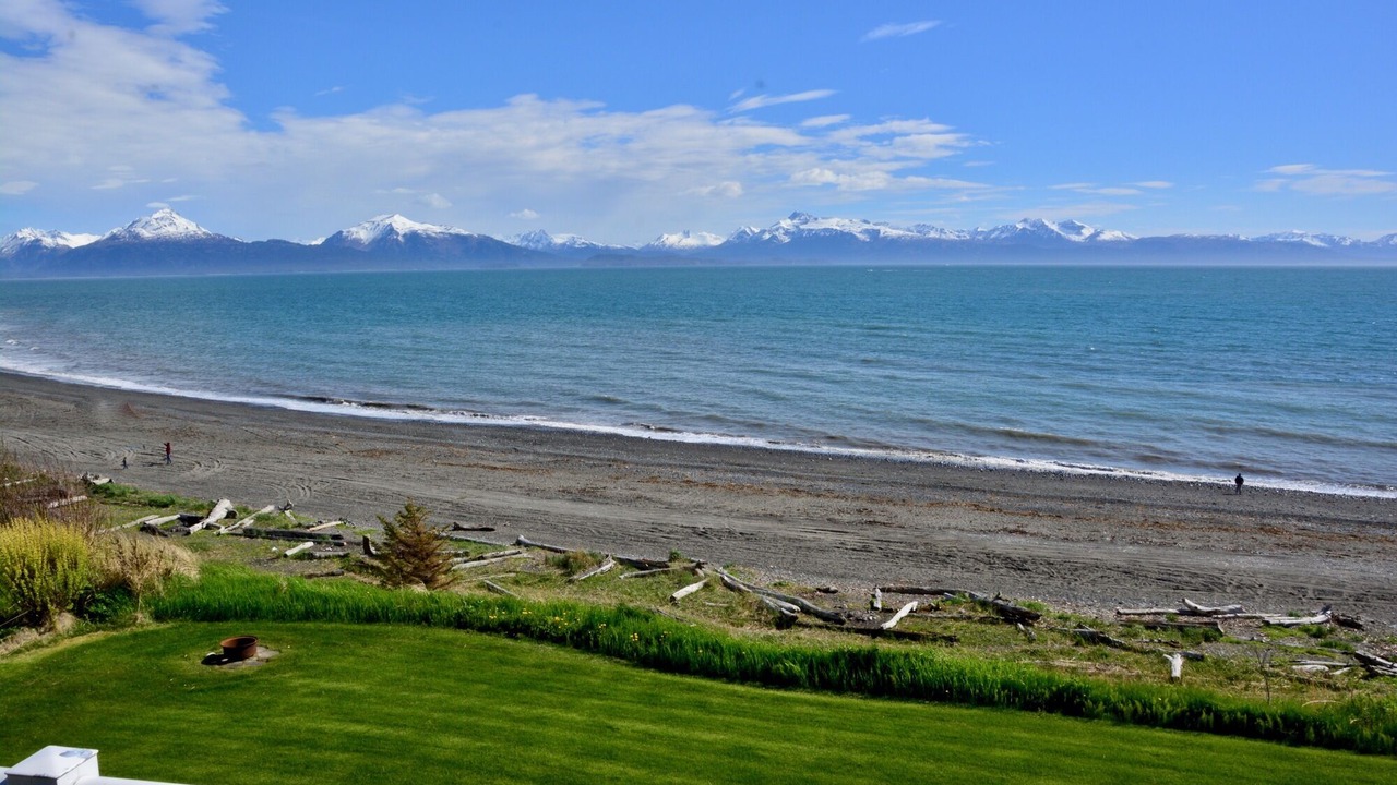 Photo of Others in Homer