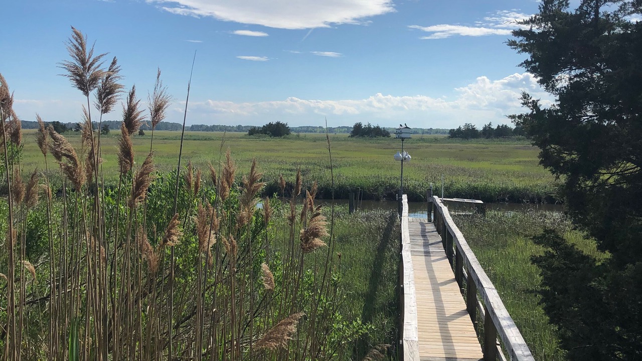 Photo of Outdoor in Broadkill Beach