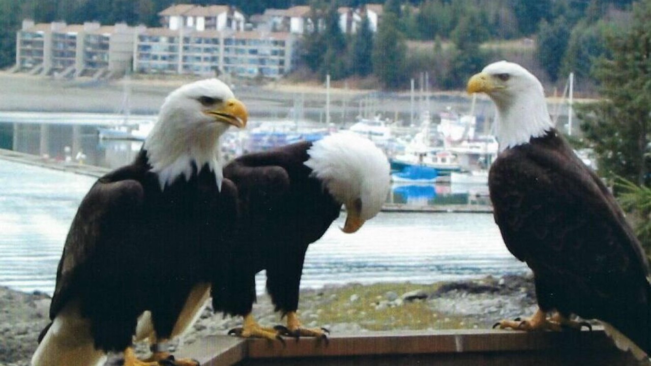 Photo of Outdoor in Juneau