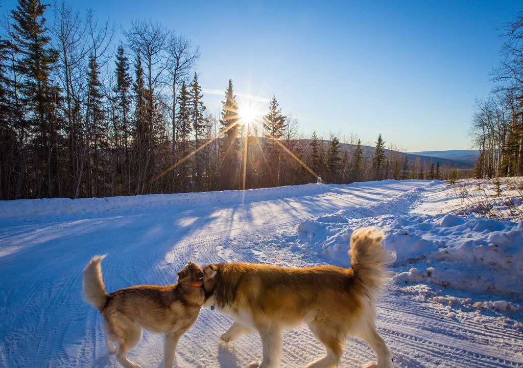 Photo of Others in Fairbanks
