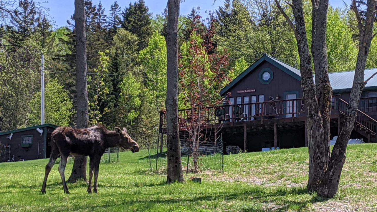 Photo of Outdoor in Rockwood